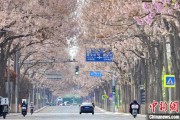 潜江共建“花园城市” 北京这场议政会“百花齐放”