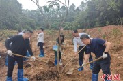 潜江广州已打造首批32处“绿美宗教活动场所”