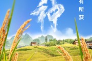 潜江芒种节气小知识来了 夏种作物都有什么？