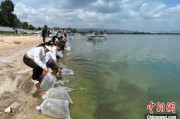 潜江云南江川举行增殖放流活动 逾54万尾鱼游入星云湖