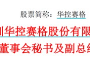 潜江华控赛格董事长、董秘、副总经理三高管同日辞职