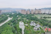潜江西宁市举办六五环境日主题宣传活动